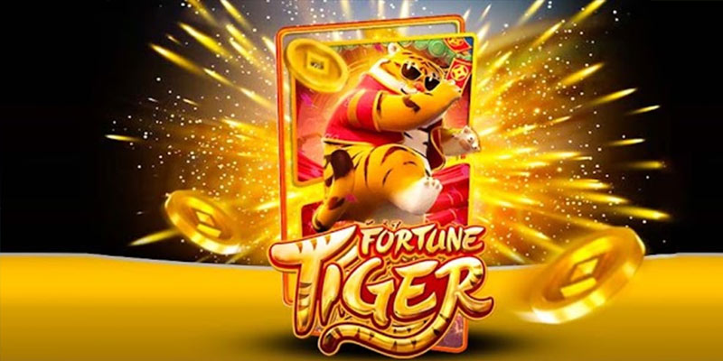 Quem é o Fortune Tiger 333bet.Com